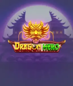 Enter a fantastic quest with the Dragon Hero game by Pragmatic Play, highlighting stunning visuals of mighty dragons and heroic battles. Explore a land where magic meets adventure, with symbols like enchanted weapons, mystical creatures, and treasures for a mesmerizing slot experience.